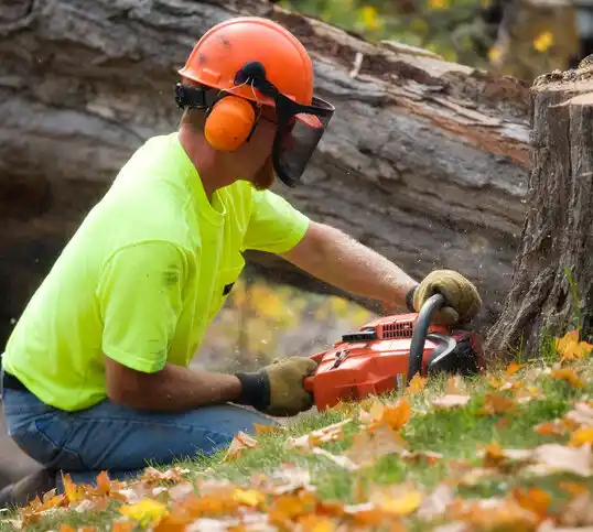 tree services Montgomery Village